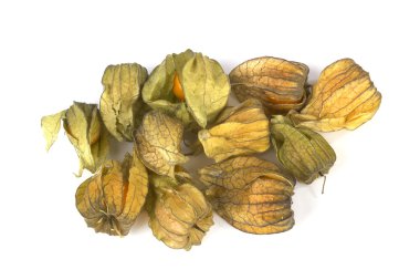Bir sürü beyaz physalis meyve