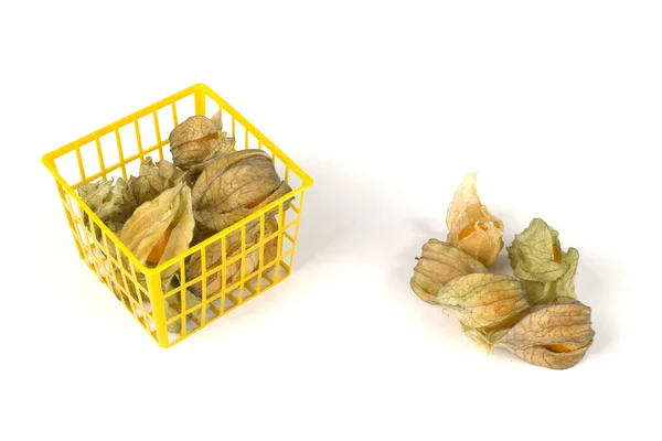 Physalis fruits dans et hors d'un panier en plastique et isolé sur blanc — Photo