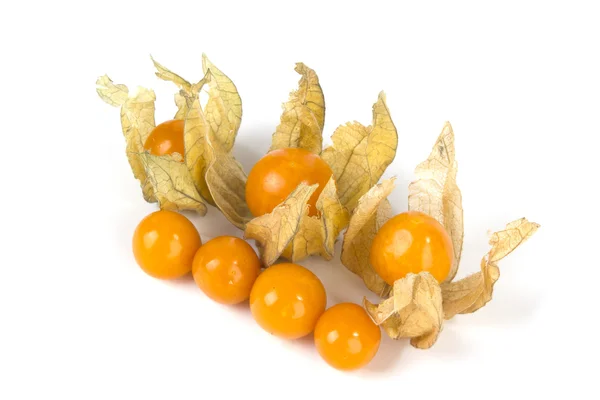 Physalis fruit isolé sur fond blanc — Photo