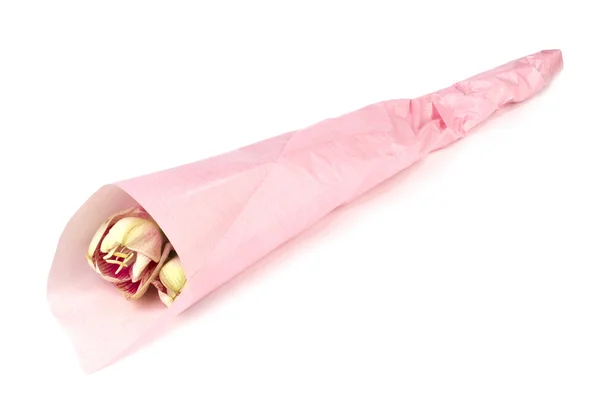 Amaryllis verpakt verpakt in een roze papier op wit — Stockfoto