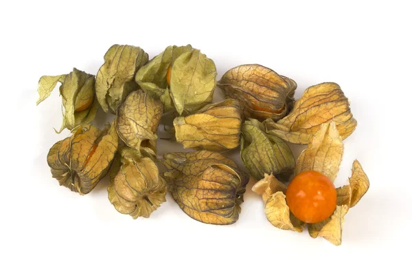 En massa physalis frukt på vit — Stockfoto