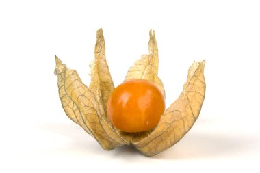 physalis beyaz arkaplanda izole