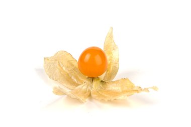 physalis beyaz arkaplanda izole