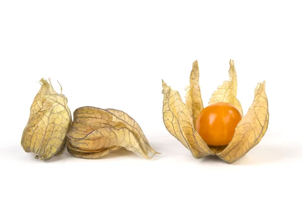 Physalis isolé sur fond blanc — Photo