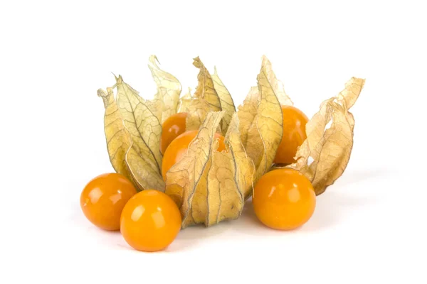 Physalis fruit isolated on white background — Stock Photo, Image