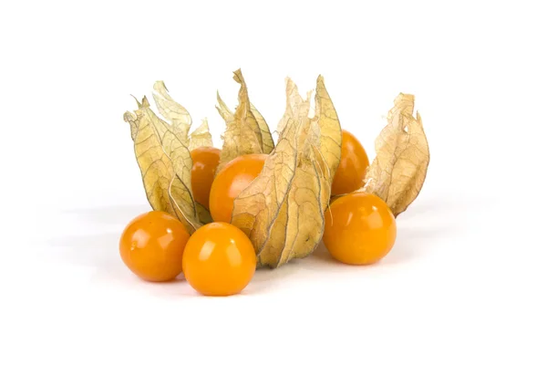 Physalis-Frucht isoliert auf weißem Hintergrund — Stockfoto