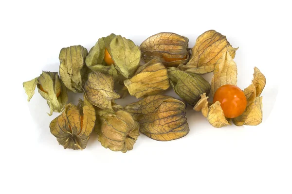 Sekelompok buah physalis di atas putih — Stok Foto