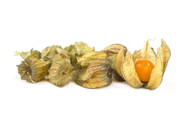 Un bouquet de fruits physalis sur blanc — Photo