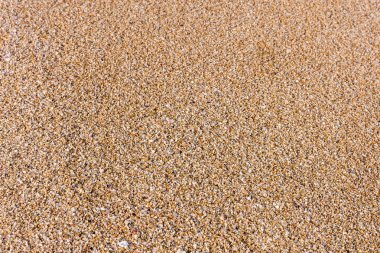 Çölde kum ve Deniz Sahil kumu kapat