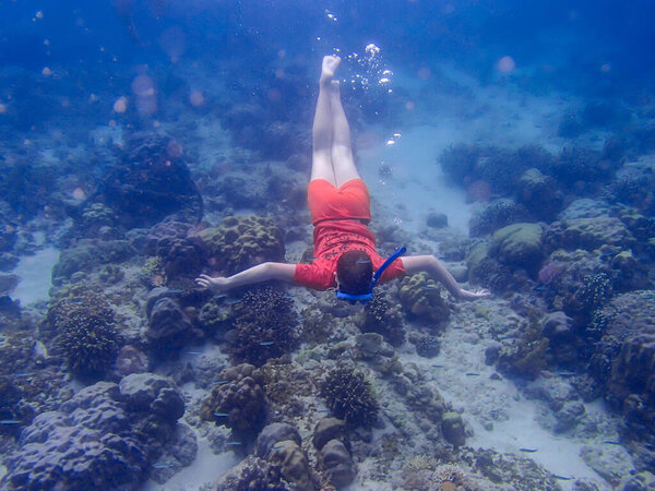 A young guy in a snorkeling mask dives under the water, sees tropical fish in the marine pool of a coral reef. Travel, adventure, swimming and water sports on the summer beach