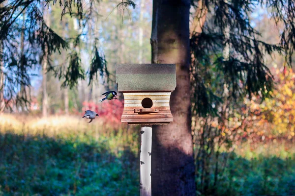 秋の都市公園で木製の茶色の家鳥のフィーダー 寒い季節に森の鳥を助ける 自然の世話をする — ストック写真