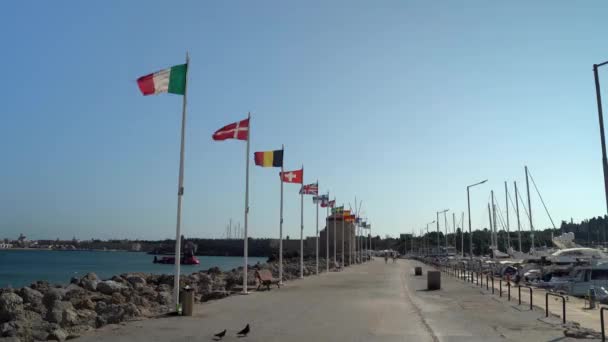 欧州連合 諸国の旗を持つ旗竿は ロードスに位置する中世の風力発電所の前に吹く ドデカネス諸島 ギリシャだ ロードス市旧市街マンドラキ港 — ストック動画