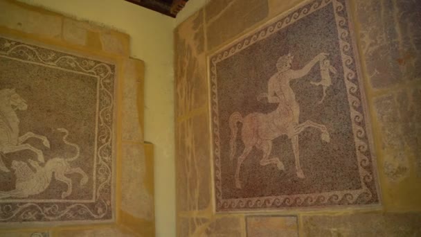 Rodas Grecia Septiembre 2020 Obra Arte Medieval Pared Del Museo — Vídeos de Stock