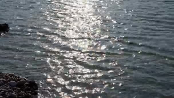 Rhodes Greece Sunlight Falling Turquoise Sea Water Port Mandraki Harbor — Stock Video