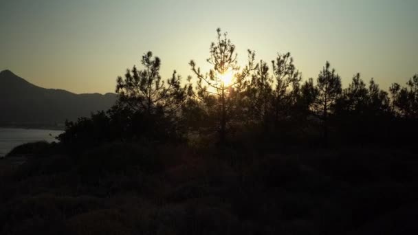 Rodas Grecia Pan Shot Sunset Sunrise Penetrando Través Hierba Larga — Vídeos de Stock
