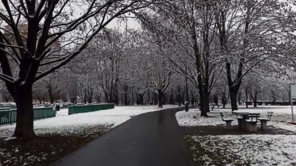 Cracovia Polonia Colpo Statico Grandangolare Sentiero Parco Durante Caduta Neve — Video Stock