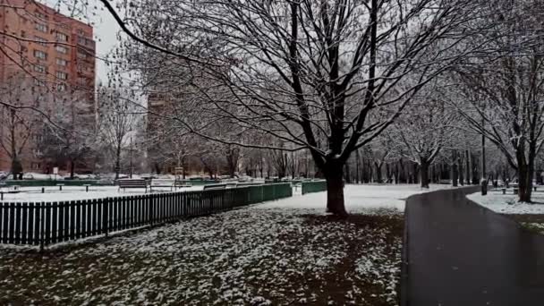波兰克拉科夫 冬季降雪时公园内一条小径的广角平底锅拍摄 冬季第一场降雪 — 图库视频影像