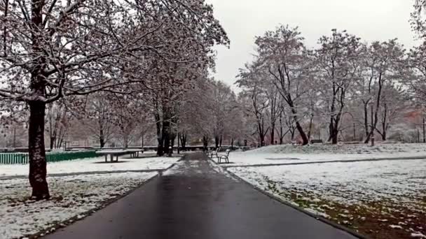 Krakow Polonya Kış Mevsiminde Kar Yağışı Sırasında Parktaki Bir Yolun — Stok video