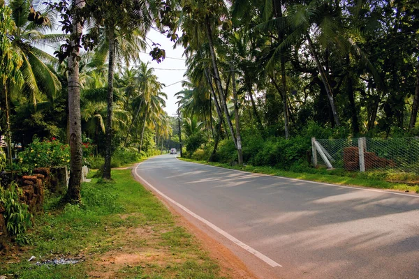 Goa India Camino Que Gira Medio Bosque Palmeras Ubicación Exótica — Foto de Stock