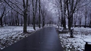 Krakow, Polonya: Geniş açı, kış mevsiminde kar mevsiminde parktaki bir patikanın görüntüsünü yukarı doğru çeker.