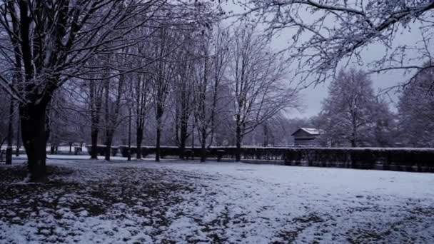 Krakkó Lengyelország Széles Látószögű Statikus Felvétel Egy Parkról Téli Hóesés — Stock videók