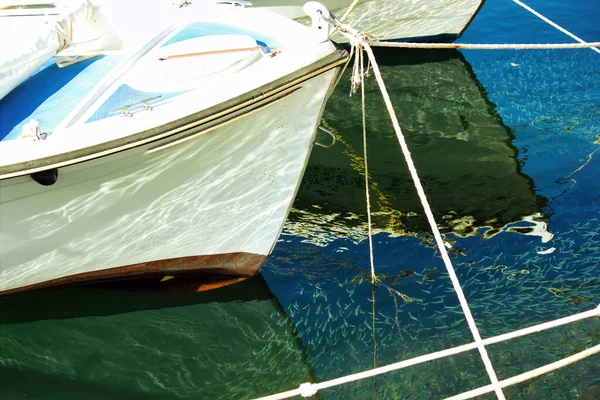 ギリシャのクレタ島で水中の小さな魚と海にドッキングボートや巡洋艦ショップのフロントセクション — ストック写真