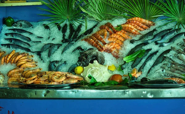 Bando Alimentos Mar Como Peixe Lula Polvo Mantido Livre Gelo — Fotografia de Stock