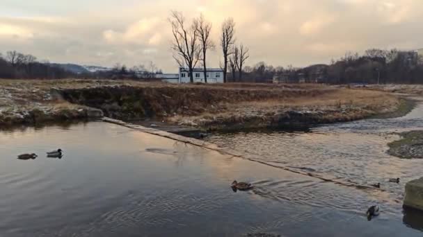 Limanowa Νότια Πολωνία Ποταμός Ποταμών Μια Μέση Της Χώρας Χειμώνα — Αρχείο Βίντεο