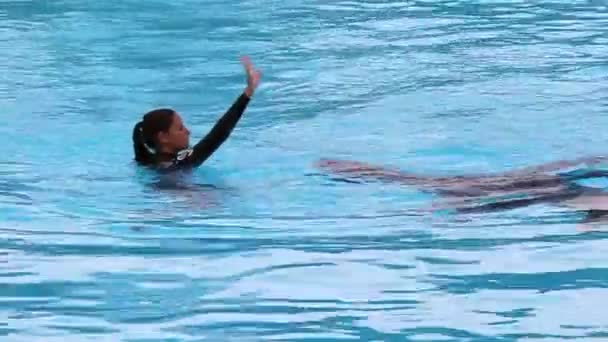 西班牙科斯塔德尔索尔 Costa Del Sol 2015年9月7日 一个女孩指示一只黑色海豹在位于贝娜梅迪纳的Selwo海豚馆的游泳池中跳舞 — 图库视频影像