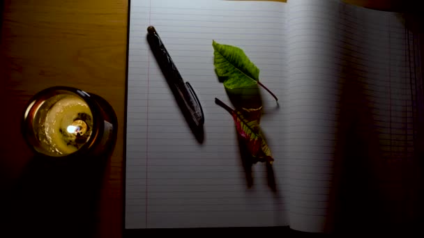 空中看到一本开着的笔记本 上面有几片半干枯的叶子 点着蜡烛或地亚 作家或任何需要写作的创造性领域的桌面桌子 — 图库视频影像