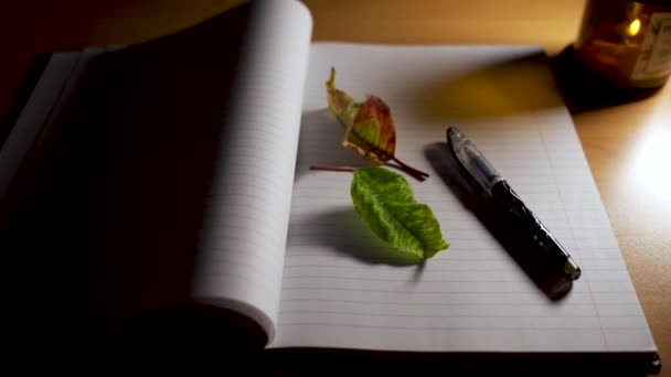 Conceptual Video Open Notebook Pen Couple Semi Dried Leaves Burning — Stock Video