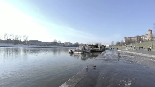 Kraków Polska Marca 2021 Pan Shot Osób Uprawiających Rekreację Spacerujących — Wideo stockowe