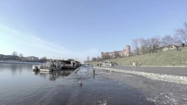 Cracóvia Polônia Março 2021 Panela Pessoas Fazendo Atividades Lazer Caminhando — Vídeo de Stock