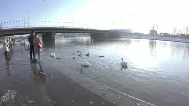 Krakow Polonya Mart 2021 Polonya Nın Orta Kesimindeki Vistula Nehri — Stok video