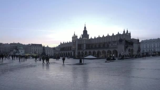 Krakau Polen Winterspaziergänge Der Krakauer Stadt Vovodie Lesse Bezirk Stare — Stockvideo