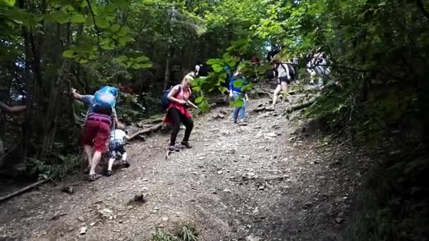 Bielsko Biala Polonia Julio 2017 Grupo Excursionistas Una Montaña Mujer — Vídeo de stock