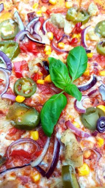 Biberli, soğanlı, peynirli, biberli ve biberli pizzanın dikey yakın çekimi. Lezzetli görünen fırınlanmış pizza malzemelerini kapatın.