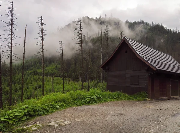 Zakopane Sydpolen Juni 2018 Forladt Formet Hus Midt Bjergene Dramatiske - Stock-foto