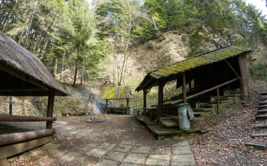 Güney Polonya: Ormanın ortasında uzun ağaçlar ve yeşilliklerle çevrili bir barbekü yeri. Terk edilmiş barakaya karşı ateşten gelen dumanın geniş açılı manzarası. Vahşi hayat macerası