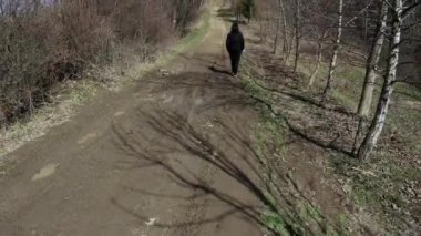 Limanowa, Polonya: Lysa Gora 'nın (Beskid Wyspowy) geniş açı manzarası, mavi gökyüzüne karşı Polonya dağlarında ormandaki yapraksız ağaçlarla çevrili toprak yol. Dağlarda yürüyüş yapan bir kadın.