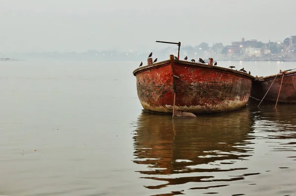 Branco Uccelli Seduti Una Vecchia Barca Arrugginita Contro Orizzonte Nebbioso — Foto Stock