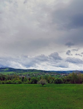 Vertical shot of landscape view of Polish mountains with a tree at the center of a huge green meadow during overcast cloud located in the region of Beskid Wyspowy in town of Rabka Zaryte , Poland