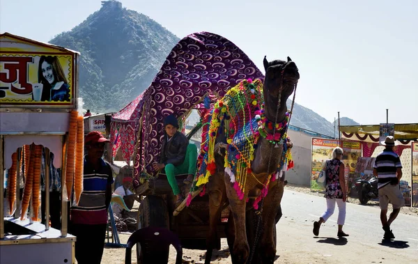 Pushkar Indie Listopada 2016 Ozdobiona Przejażdżka Wózkiem Wielbłąda Przez Małego — Zdjęcie stockowe