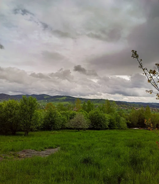 Paesaggio Albero Mezzo Prato Campo Durante Tempo Nuvoloso Coperto Immerso — Foto Stock