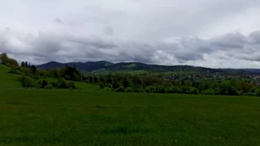 Polonya, Avrupa 'da Rabka' da yer alan yağmur sırasında, merkezde dramatik bulutlara karşı tek bir ağacın bulunduğu yeşil çayır manzaralı manzaralı güzel bir manzara.