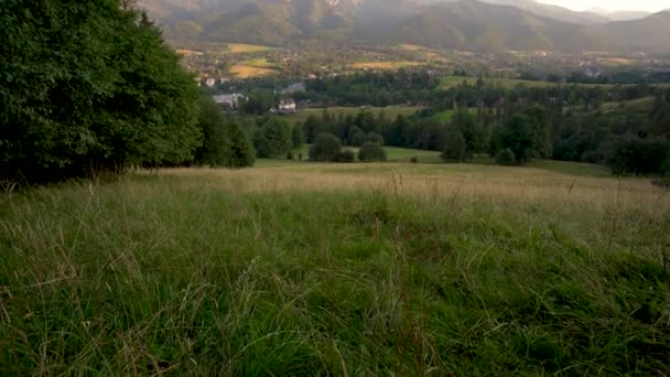 Tilt Shot Green Grass Field Meadow Landscape Tatra Mountain Countryside — Vídeos de Stock