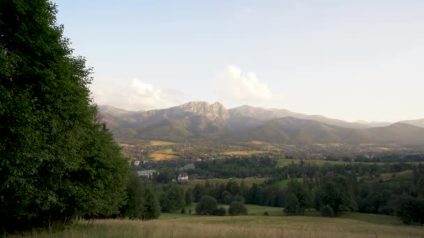 Zdjęcie Panoramy Łąki Łąkowej Zieloną Trawą Tle Krajobrazu Tatrzańskich Gór — Wideo stockowe