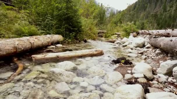 Rivière Montagne Ruisseau Avec Une Eau Cristalline Coulant Dans Vallée — Video