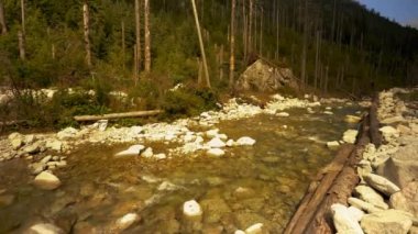 Polonya 'daki Tatra Dağları' nda kristal berrak su ve küçük çağlayan bir dağ deresi. Morkie Oko 'ya giden yolda yürüyüş patikaları.