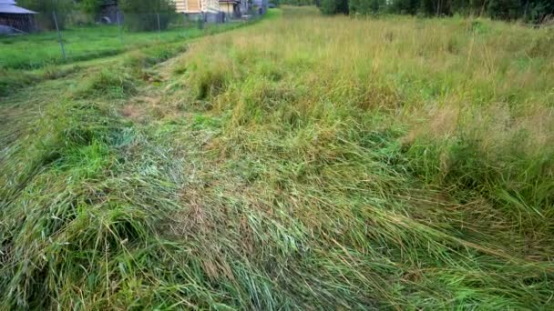 Zakopane Polonia Tilt Shot Grass Field Traditional Wooden Guest House — Vídeos de Stock